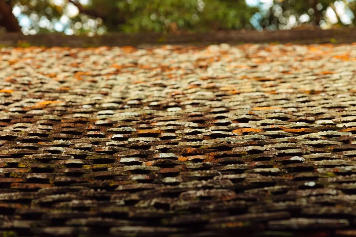 Roof Leak Repair in Vineland, NJ